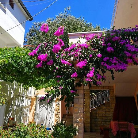 Apartmani Leon Biograd Na Moru Exteriör bild