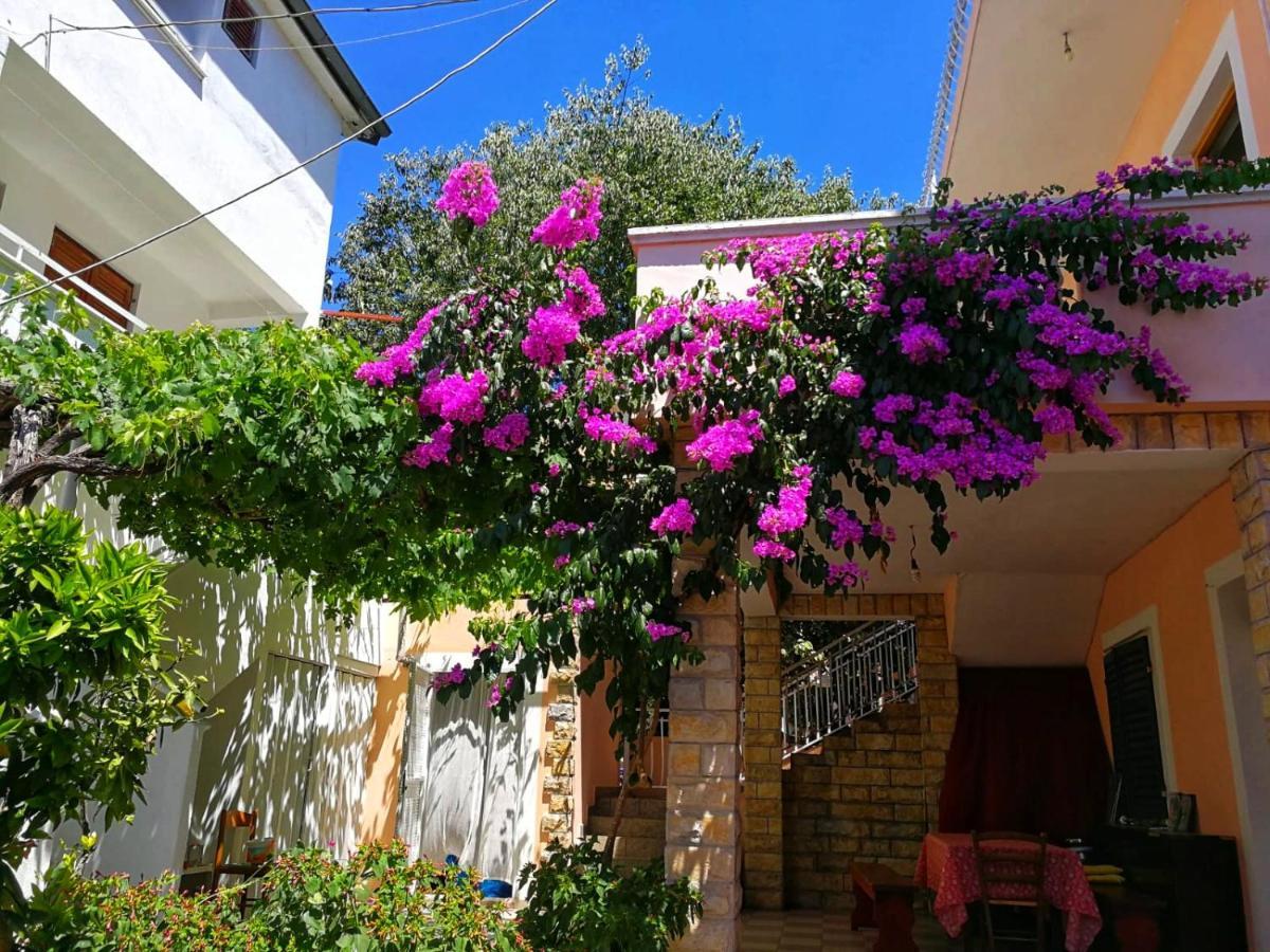 Apartmani Leon Biograd Na Moru Exteriör bild